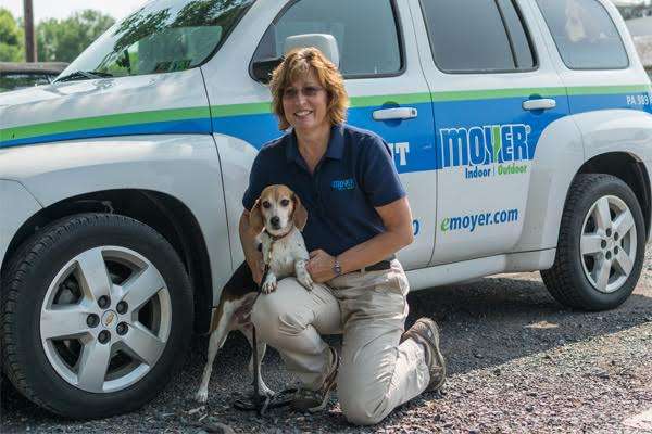 Moyer Pest Control | 124 S 4th St, Telford, PA 18969, USA | Phone: (215) 799-2010