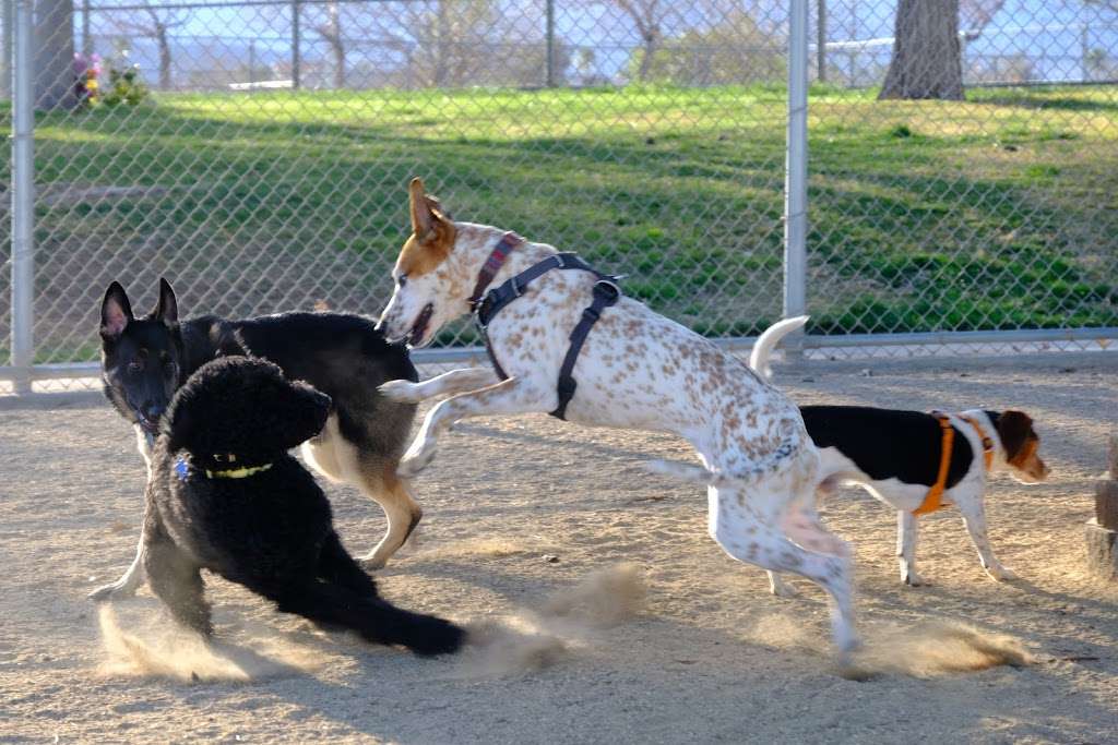 Desert breeze dog park | Las Vegas, NV 89147