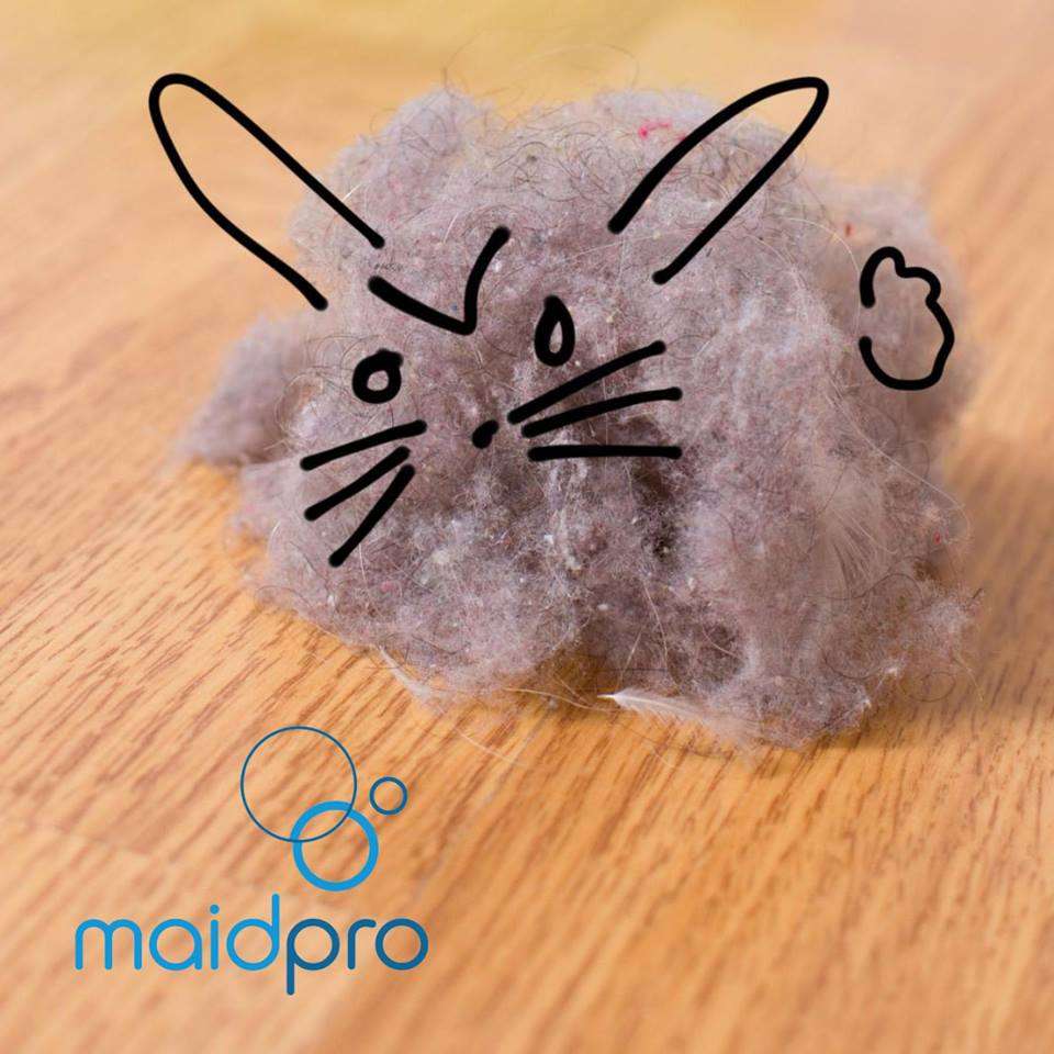 MaidPro | 1806 Avenue D, Katy, TX 77493, USA | Phone: (281) 693-6243