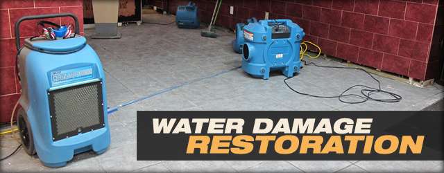 Dry on Time : Fire & Water Damage Restoration | 445 N 8th St, Fairview, NJ 07022, USA | Phone: (201) 840-8820