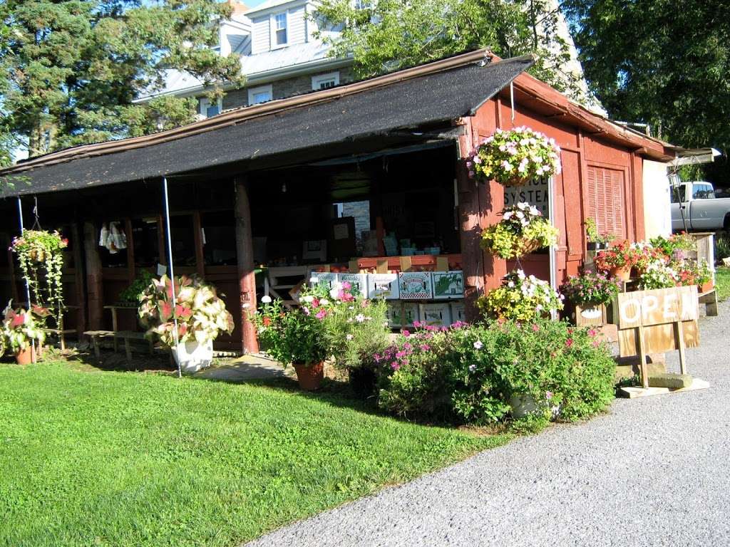 Ulrichs Farm Market | 2172 Heidelberg Ave, Newmanstown, PA 17073, USA | Phone: (717) 949-4078