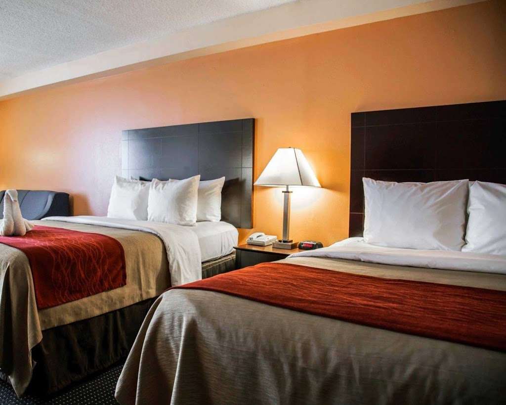 Comfort Inn International Dr. | 8134 International Dr, Orlando, FL 32819, USA | Phone: (407) 313-4000