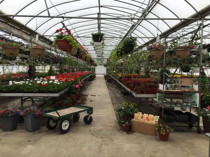 Bultema Farms & Greenhouses, Inc. | 29348 S Klemme Rd, Beecher, IL 60401 | Phone: (708) 946-2199