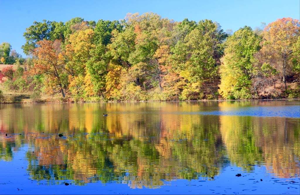 Rockefeller State Park Preserve | 125 Phelps Way, Pleasantville, NY 10570 | Phone: (914) 631-1470