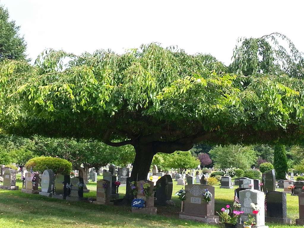 Saint Josephs Cemetery | Chelmsford, MA 01824, USA