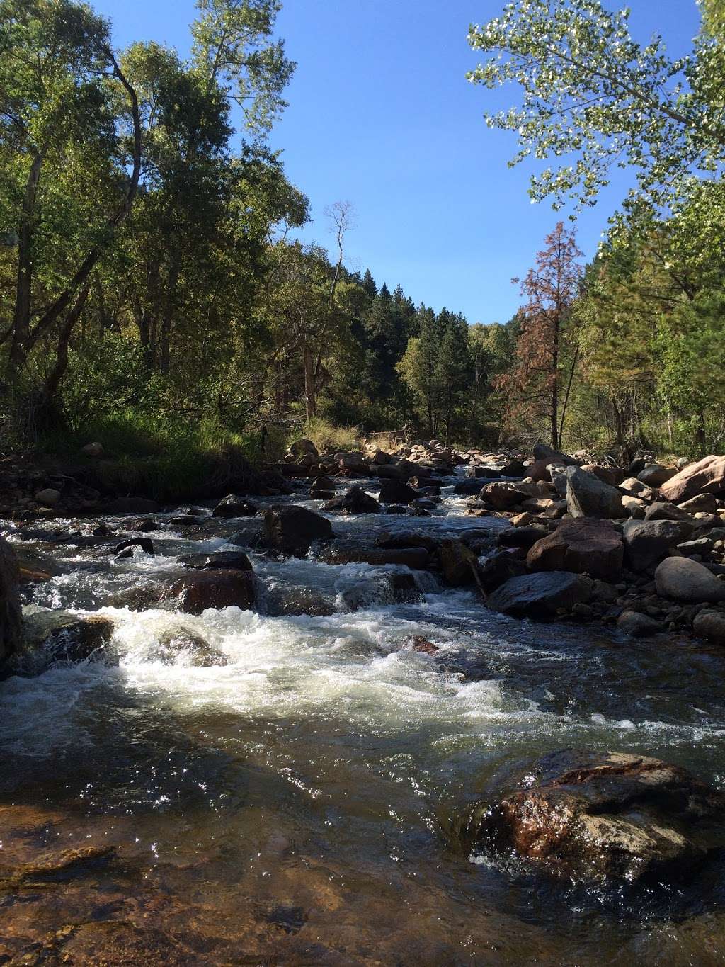 Buckingham Picnic Area | Lefthand Canyon Dr, Boulder, CO 80302, USA | Phone: (303) 678-6200