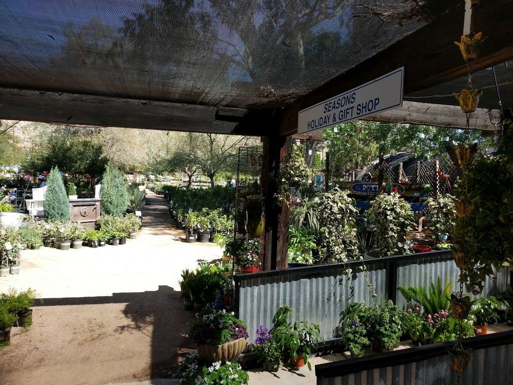 Berridge Nurseries | 4647 E Camelback Rd, Phoenix, AZ 85018, USA | Phone: (602) 952-8080