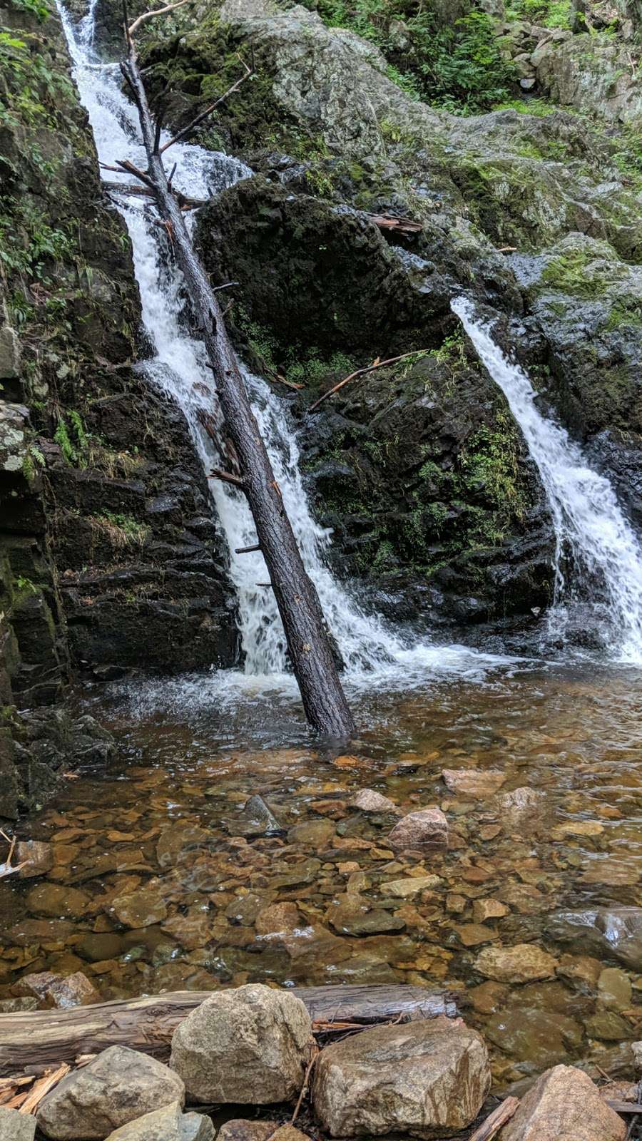 Appalachian Trail | Lakes Rd, Monroe, NY 10950, USA