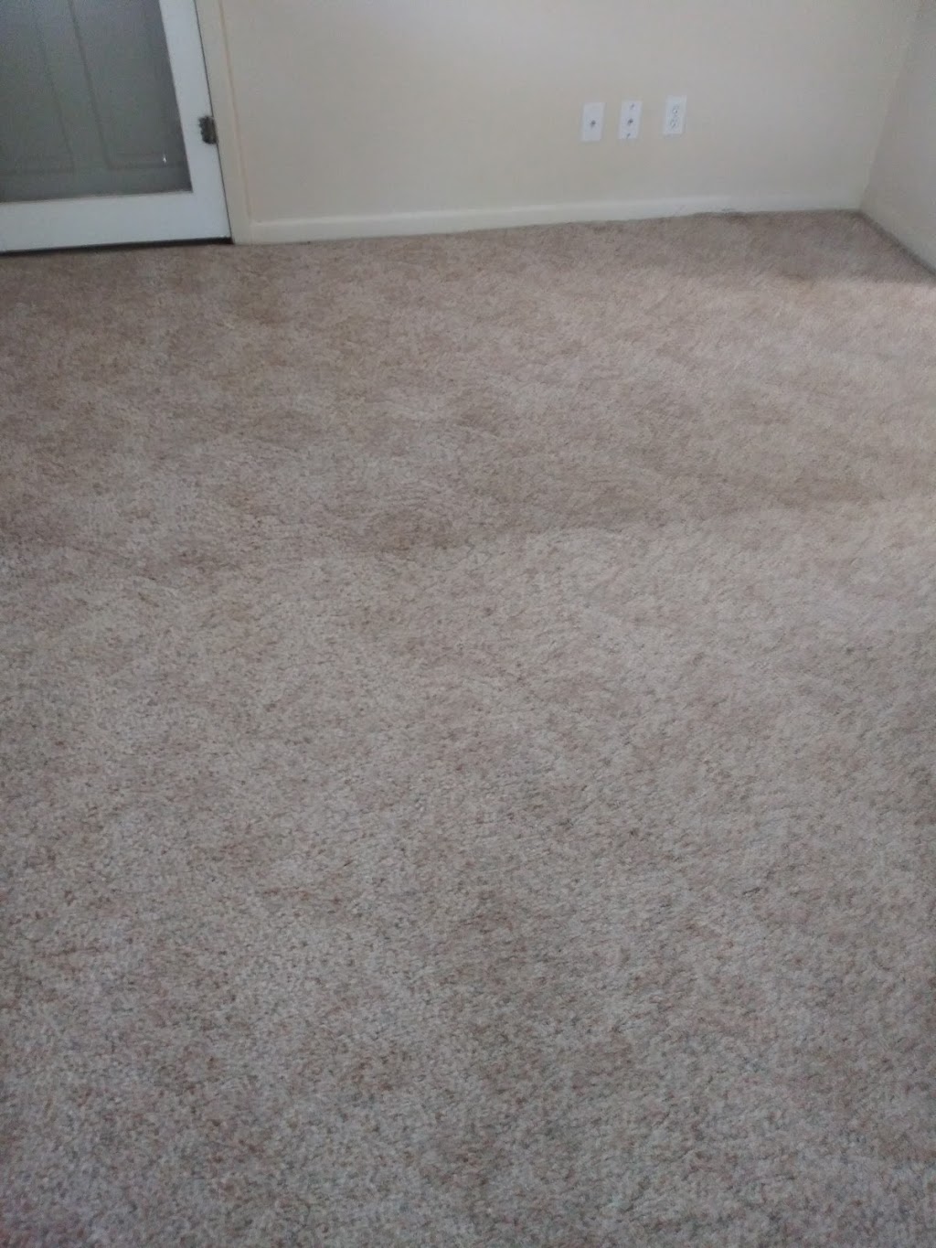 Carrollwood Carpet Cleaning LLC | 14006 Village Terrace Dr, Tampa, FL 33624, USA | Phone: (727) 873-8164