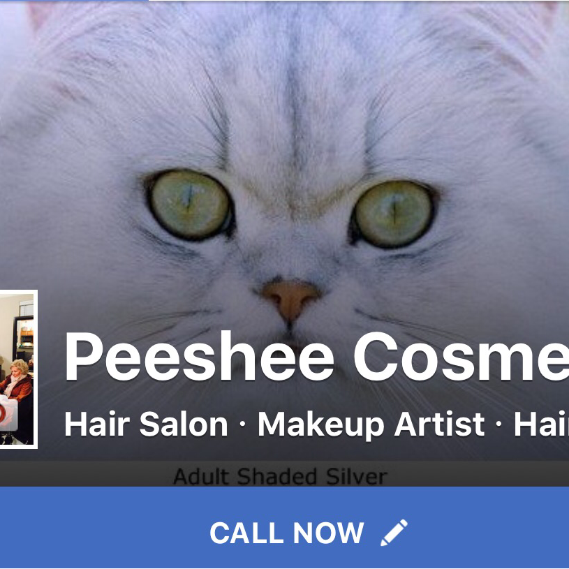 Peeshee Cosmetics | 13099 Westheimer Rd, Houston, TX 77077 | Phone: (281) 789-8558