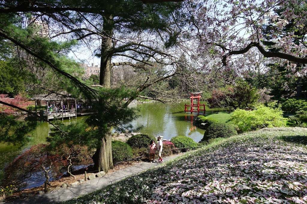 Brooklyn Botanic Garden | 990 Washington Ave, Brooklyn, NY 11225, USA | Phone: (718) 623-7200