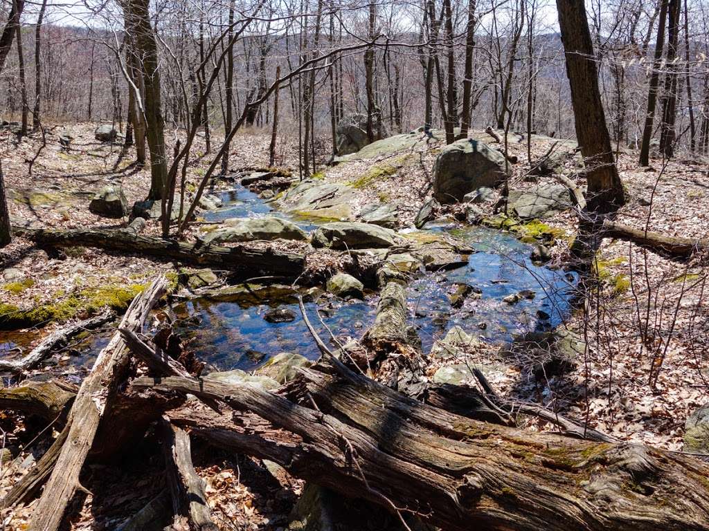 Torne View | Ramapo, NY 10901, USA