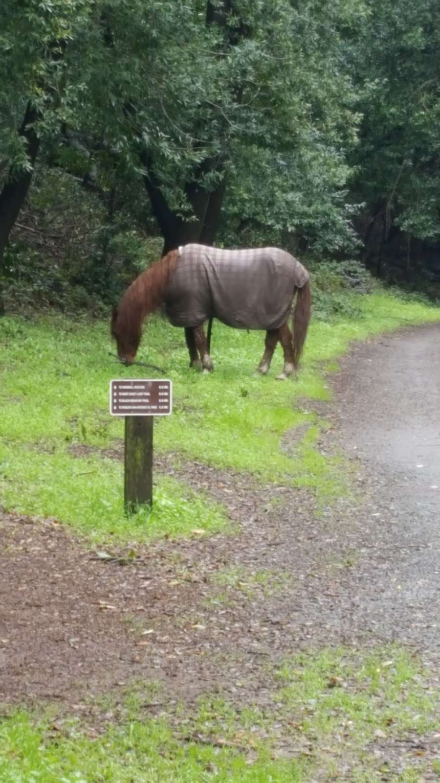 Rhus Ridge Trailhead | Rhus Ridge Trail, Los Altos Hills, CA 94022, USA Rhus Ridge Trailhead | Rhus Ridge Trail, Los Altos Hills, CA 94022, USA