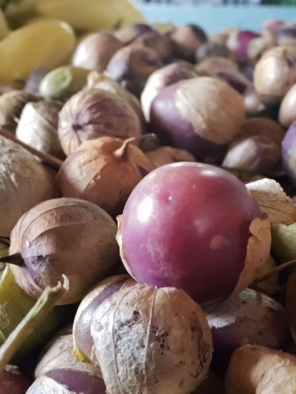 Larrys Produce | 4606 Suisun Valley Rd, Fairfield, CA 94534, USA | Phone: (707) 864-8068