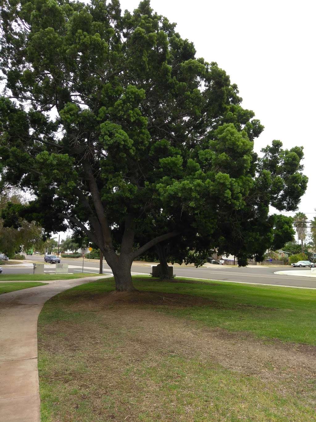 Lindbergh Neighborhood Park | 4141 Ashford St, San Diego, CA 92111, USA | Phone: (858) 573-1387