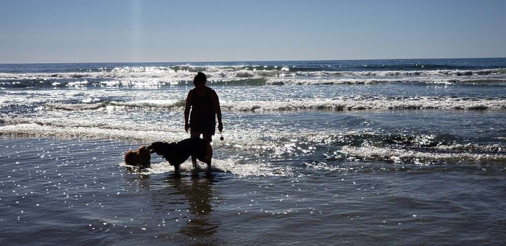 North Bluff Preserve | Del Mar, CA 92014, USA