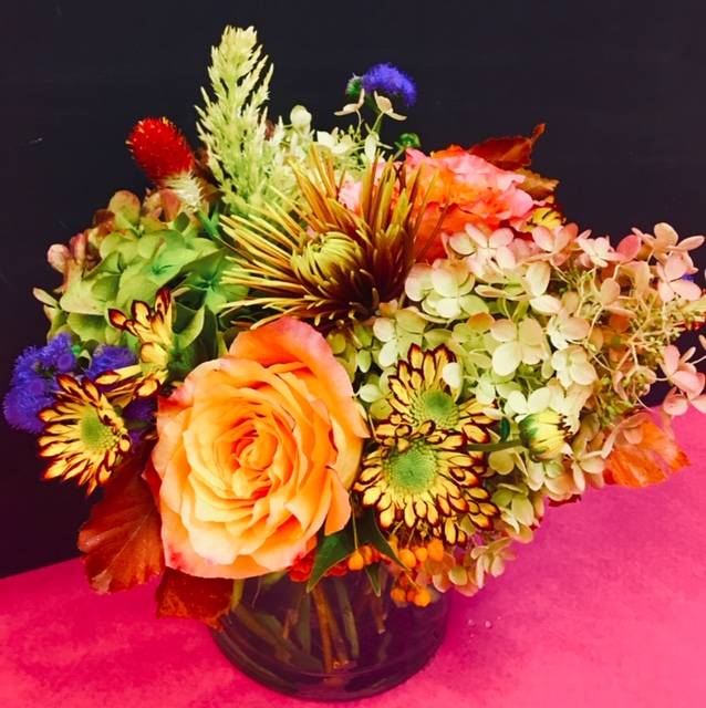 Company Flowers & Gifts Too! | 2107 N Pollard St, Arlington, VA 22207, USA | Phone: (703) 525-3062