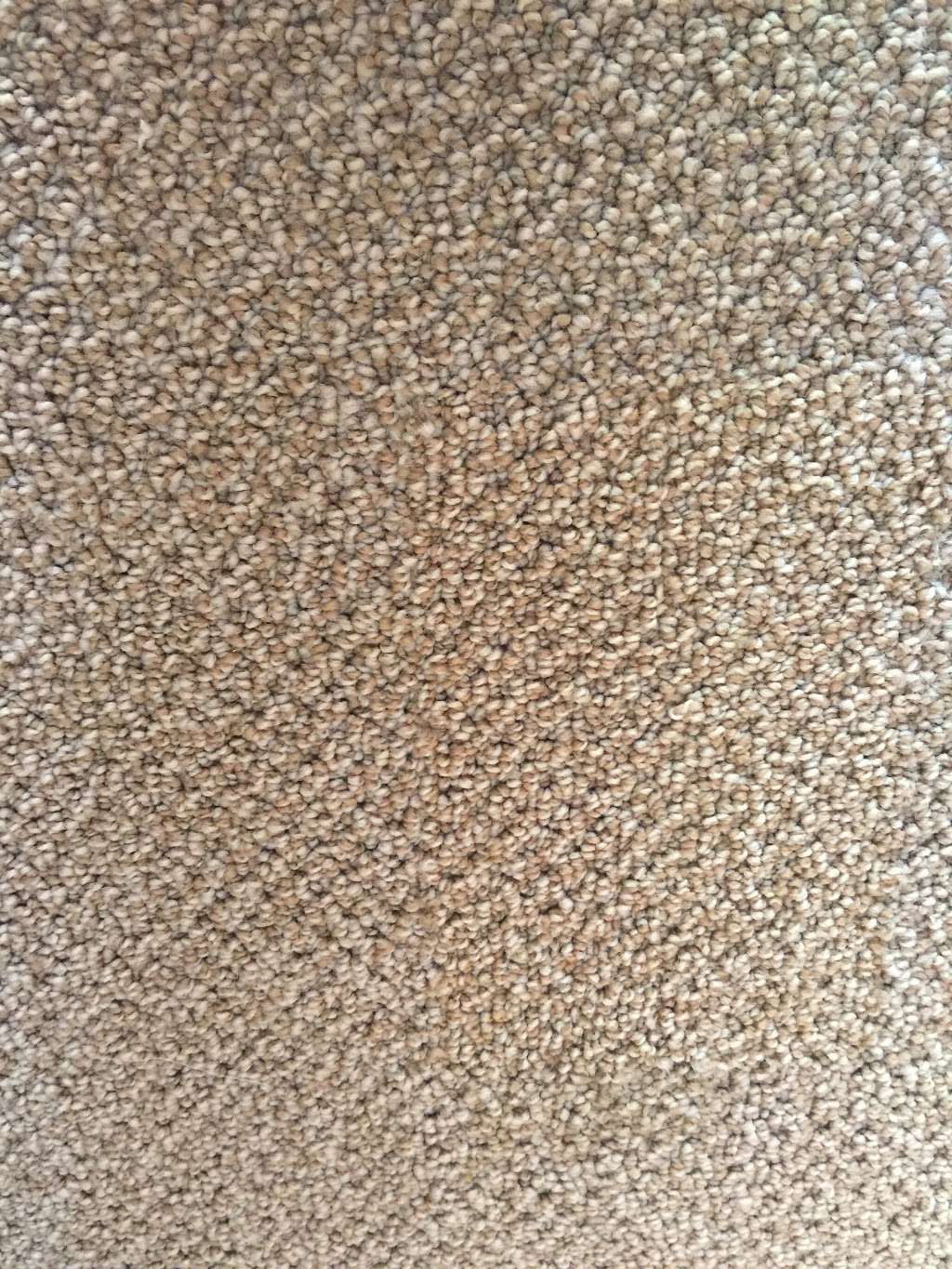 New Jersey Carpet Repair | 194 Drum Point Rd, Brick, NJ 08723, USA | Phone: (201) 921-9661