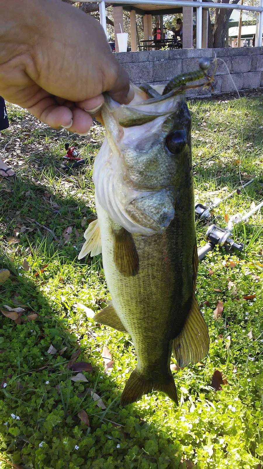 Lake Hartridge Nature Park | 1775-1799 Havendale Blvd NW, Winter Haven, FL 33881, USA