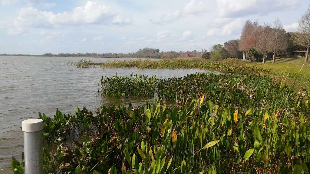 Lake Apopka | Lake Apopka Loop Trail, Apopka, FL 32703, USA