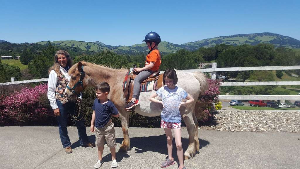 Ponies R Us | Robie Rd, Sonoma, CA 95476, USA | Phone: (707) 996-7669