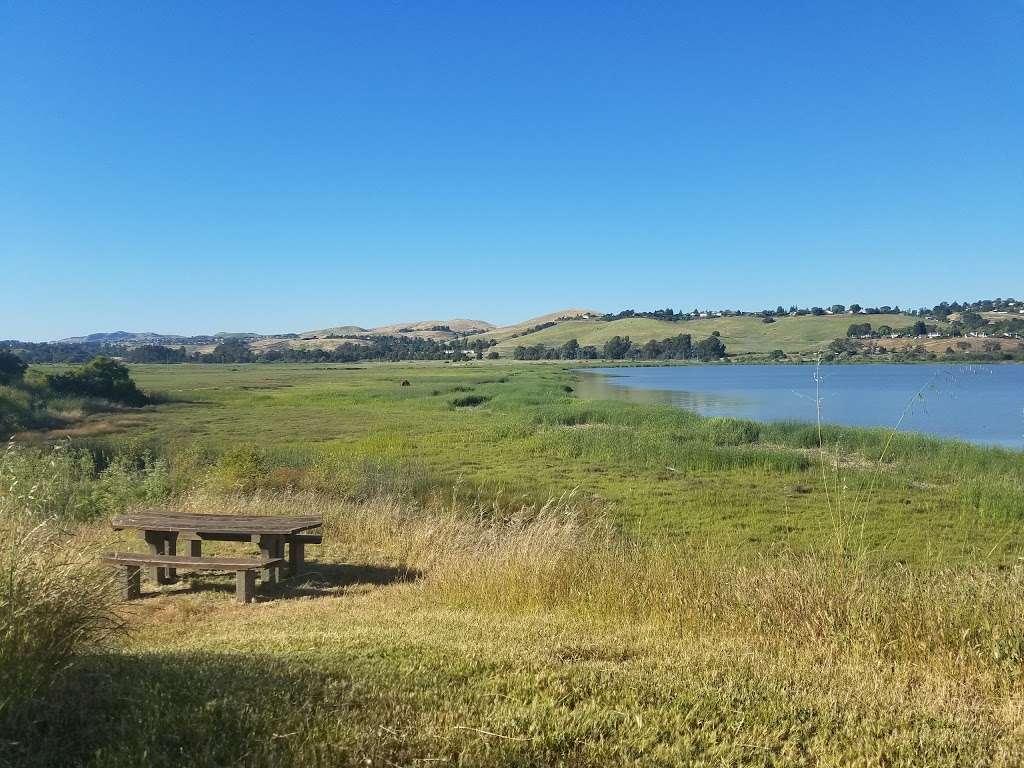 Forrest Deaner Native Plant Botanic Garden | Dillon Point Rd, Benicia, CA 94510