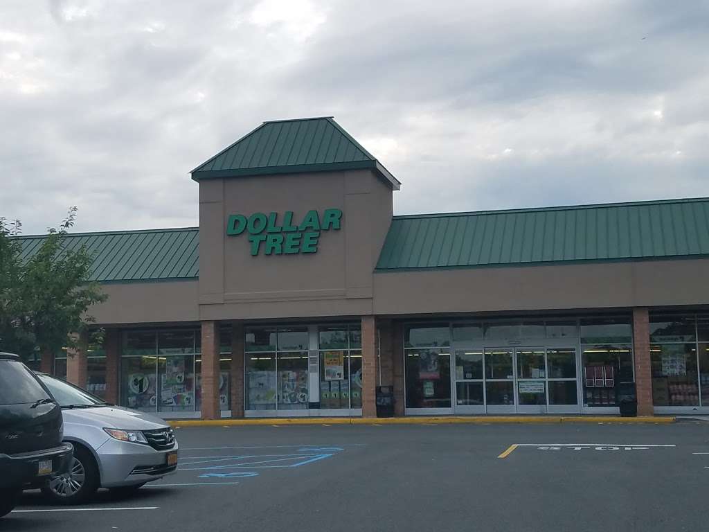 Dollar Tree | 6410 Amboy Rd, Staten Island, NY 10309, USA | Phone: (718) 569-3016