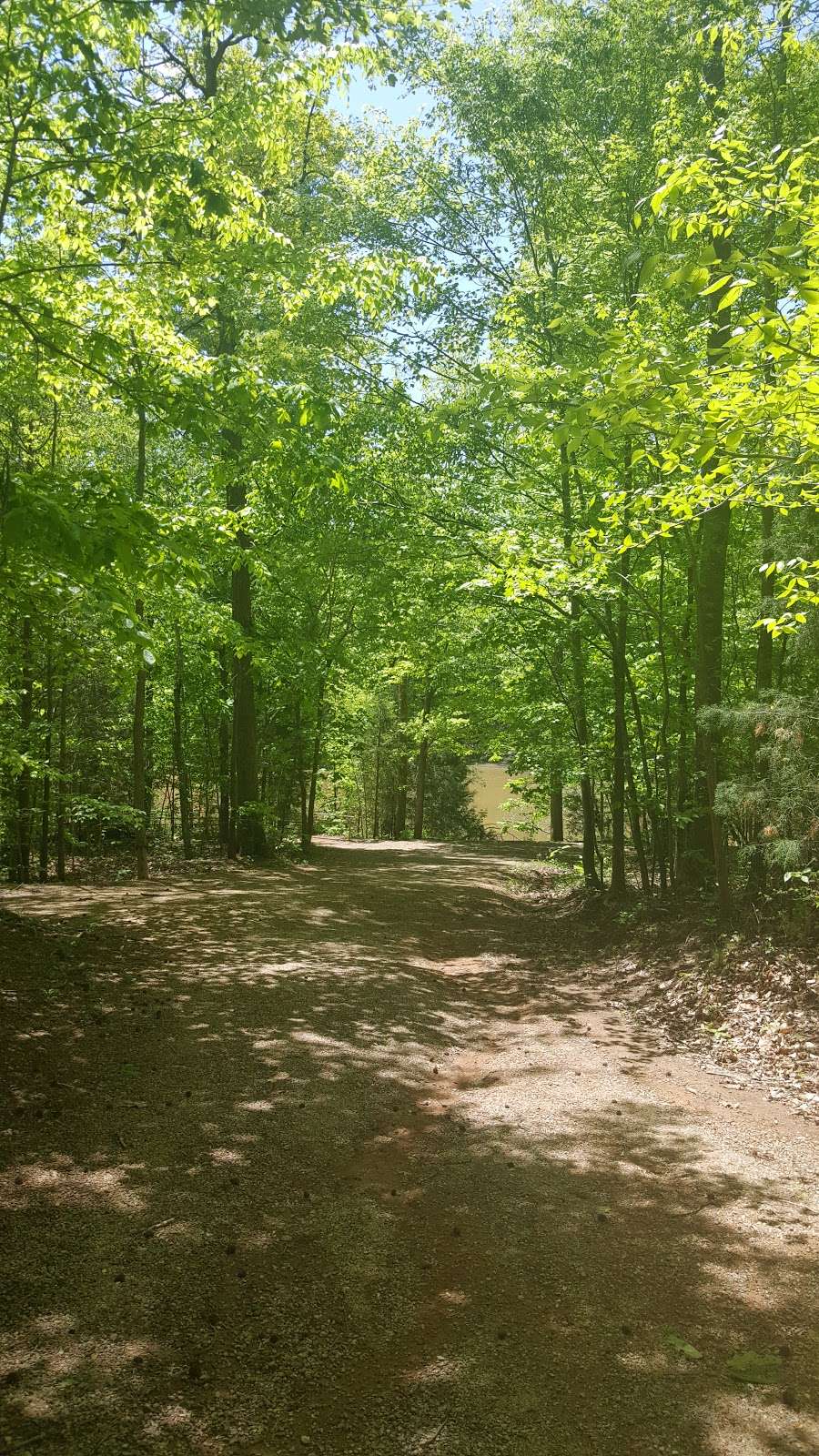 Reedy Creek Park Shelter 4 | 2900 Rocky River Rd, Charlotte, NC 28213, USA | Phone: (980) 314-1001