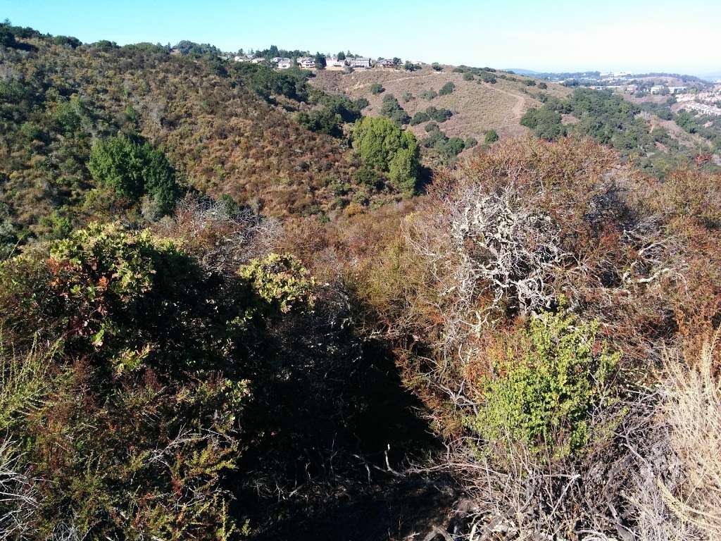 Upper creek trailhead | hidden canyon park, Belmont, CA 94002