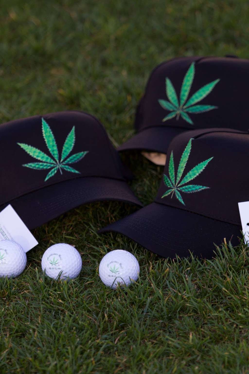 Marijuana Golf | 465 N Stark Dr, Palatine, IL 60074 | Phone: (224) 202-7095