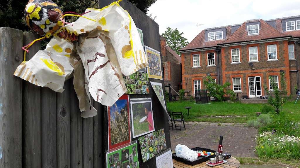 Transition Town Tooting Community Garden | Door on the left of the building, North Dr, London SW16 1RN, UK | Phone: 07508 677093