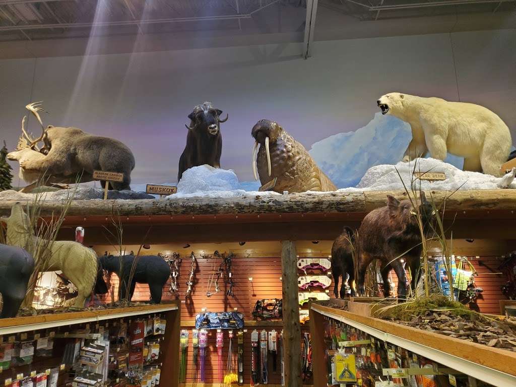 Bass Pro Shops | 2501 Bass Pro Dr, Grapevine, TX 76051, USA | Phone: (972) 724-2018