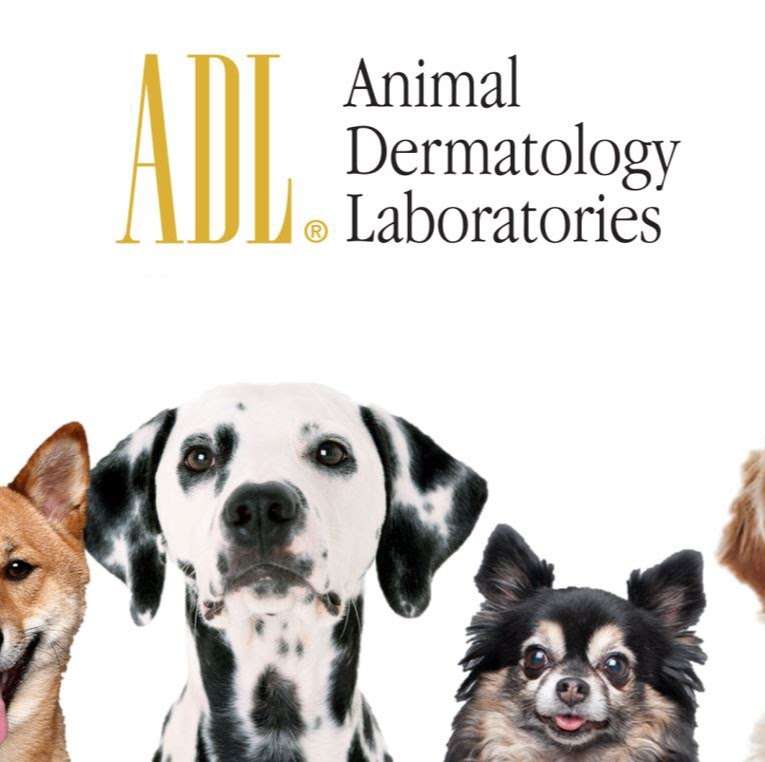 Animal Dermatology Laboratories | 13949 Ramona Ave Suite F, Chino, CA 91710, USA | Phone: (800) 521-2525