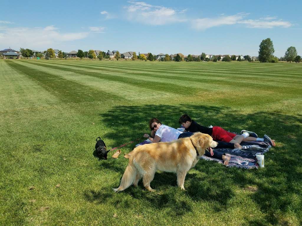 Broomfield Commons Sports Fields | 13200 Sheridan Boulevard, Broomfield, CO 80020 | Phone: (303) 469-3301