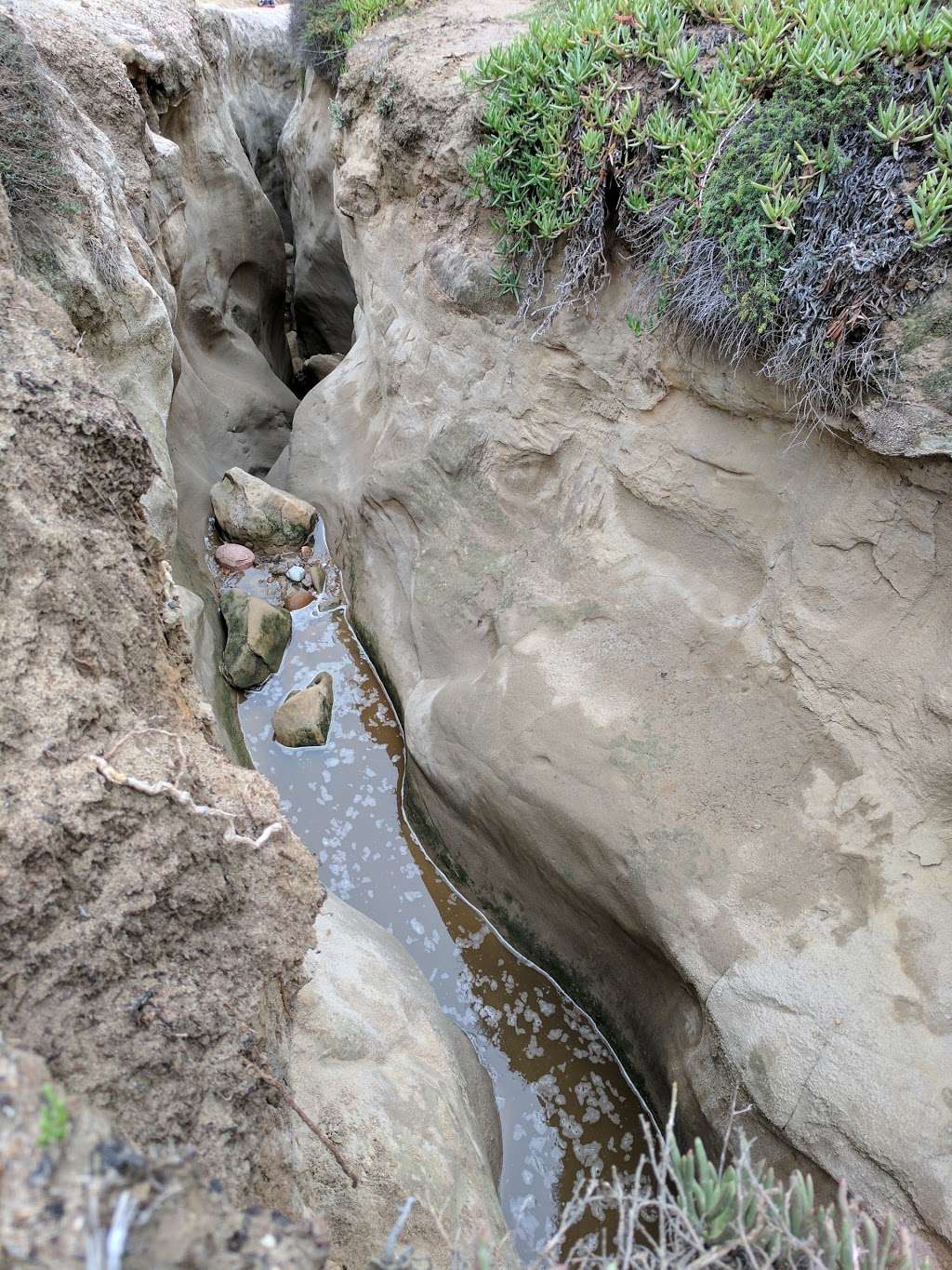 La Jolla Trail | 9883 La Jolla Farms Rd, La Jolla, CA 92037, USA