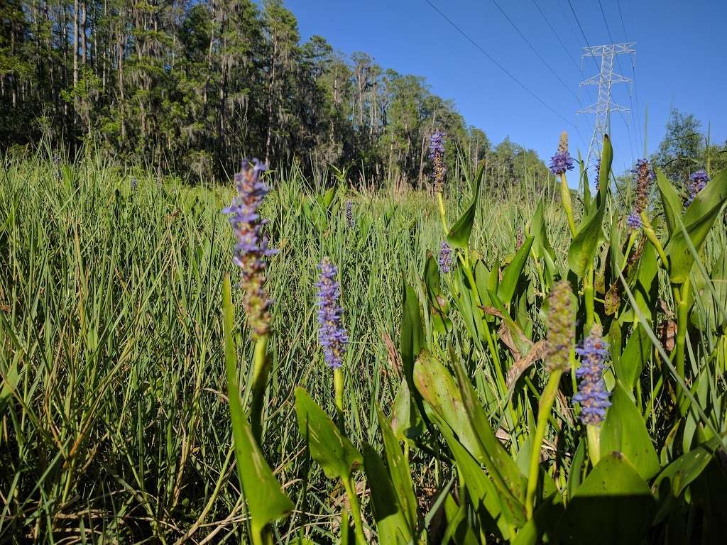 Shingle Creek Trailhead | 13400 Town Loop Blvd, Orlando, FL 32837