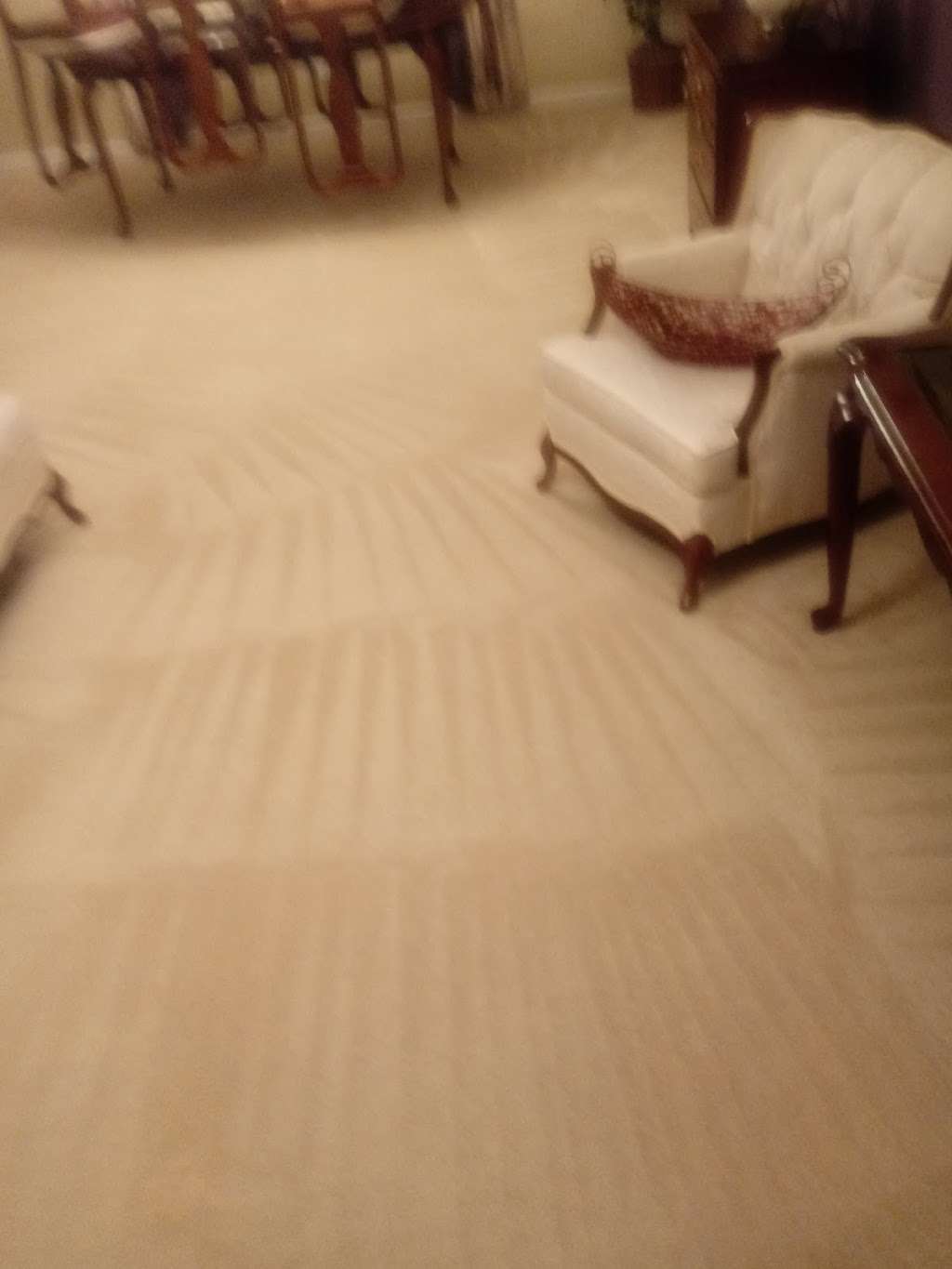 Perfect Carpet & Sofa Cleaning | 4099, 1918 Gray Slate Dr, Missouri City, TX 77489, USA | Phone: (346) 212-8145