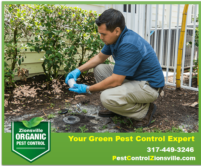 Pest Control Zionsville | 7602 S 775 E, Zionsville, IN 46077, USA | Phone: (317) 449-3246