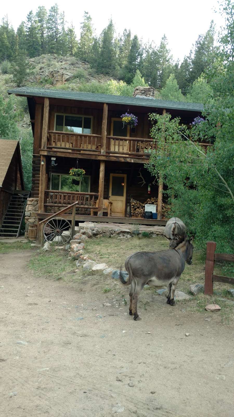 Tumbling River Ranch | 3715 Co Rd 62, Conifer, CO 80433, USA | Phone: (303) 838-5981