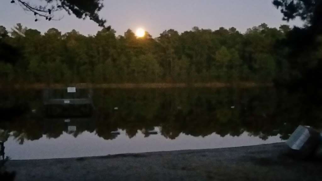 Pilgrim Lake Campgrounds | 940 Stage Rd, New Gretna, NJ 08224, USA | Phone: (609) 296-4725