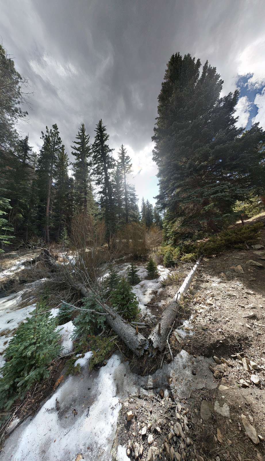 Forsythe Canyon Trailhead | Forest Service Rd 359, Nederland, CO 80466, USA