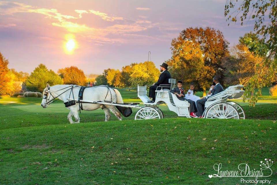 Mane Event Carriages | 90 Ader Ave, Clayton, IN 46118, USA | Phone: (317) 702-4185