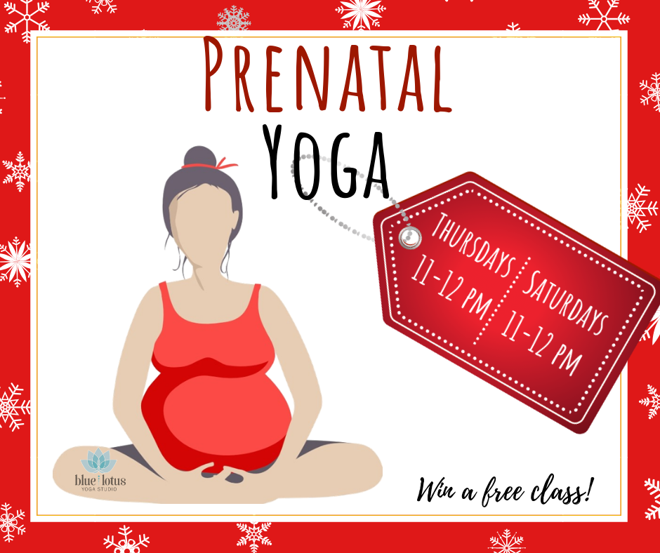 Annapolis Prenatal Yoga | Christen Barrs | 119 Hillsmere Dr, Annapolis, MD 21403, USA | Phone: (410) 541-6129