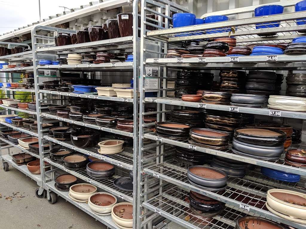 Plant & Pottery Outlet | 9451, 6467 Mission Rd, Sunol, CA 94586 | Phone: (925) 862-0151