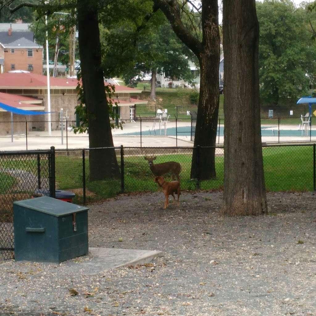 Langdon Dog Park | 2815 20th St NE, Washington, DC 20018, USA