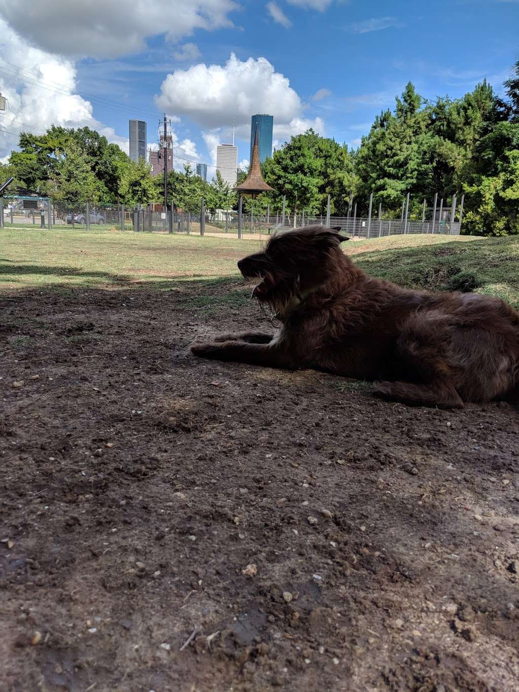 Park For Humans And Dogs | 901 Sawyer St, Houston, TX 77007, USA