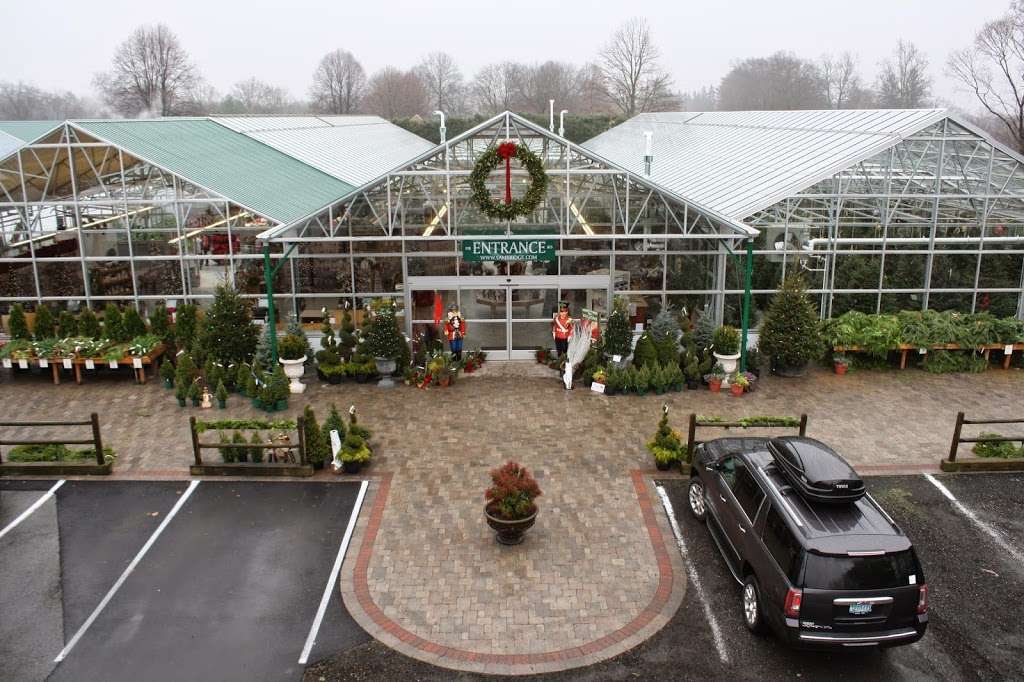 Sam Bridge Nursery & Greenhouses, LLC | 437 North Street, Greenwich, CT 06830, USA | Phone: (203) 869-3418