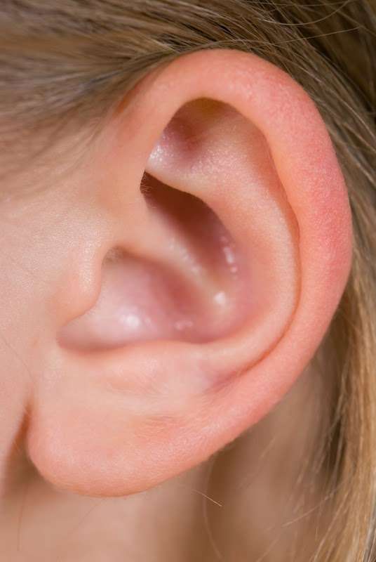 Pure Sound Hearing Aids | 1170 Erbs Quarry Rd suite 2-2, Lititz, PA 17543, USA | Phone: (717) 945-1477 Pure Sound Hearing Aids | 1170 Erbs Quarry Rd suite 2-2, Lititz, PA 17543, USA | Phone: (717) 945-1477