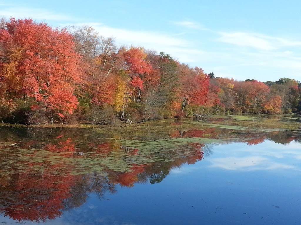 Blackstone River Greenway (parking) | 37-85 Canal St, Blackstone, MA 01504, USA