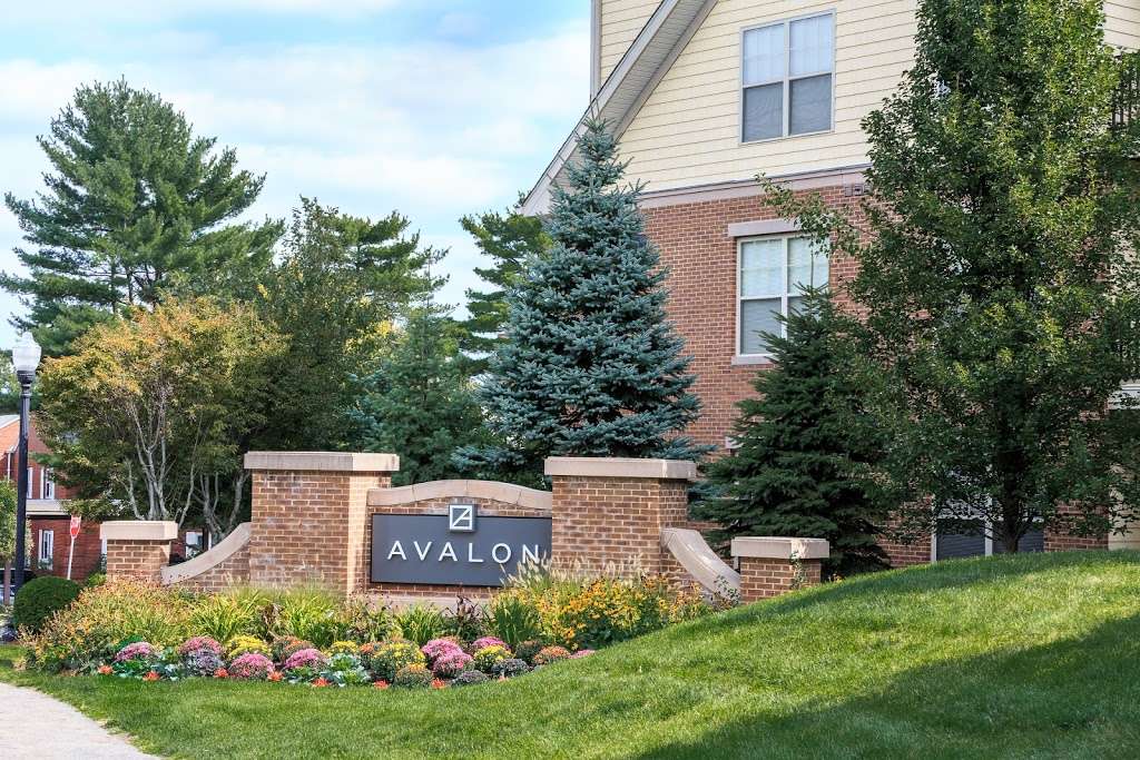 Avalon at Chestnut Hill | 160 Boylston St, Chestnut Hill, MA 02467, USA | Phone: (617) 658-7032